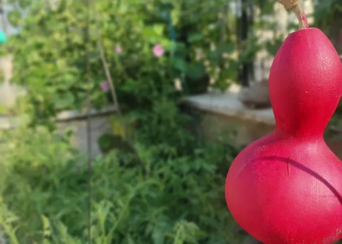 Отель Frig Evi Sabuncu