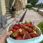 Hotel Frig Evi