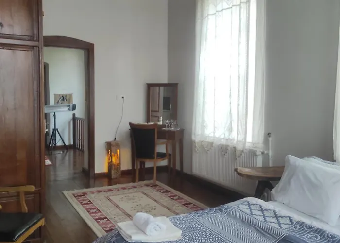 ホテル Frig Evi *